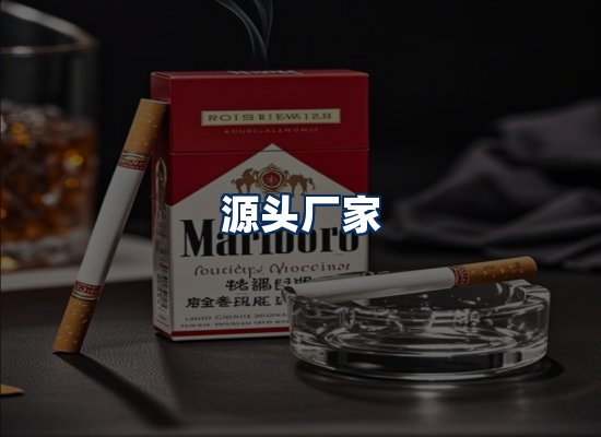 专业团队办公环境